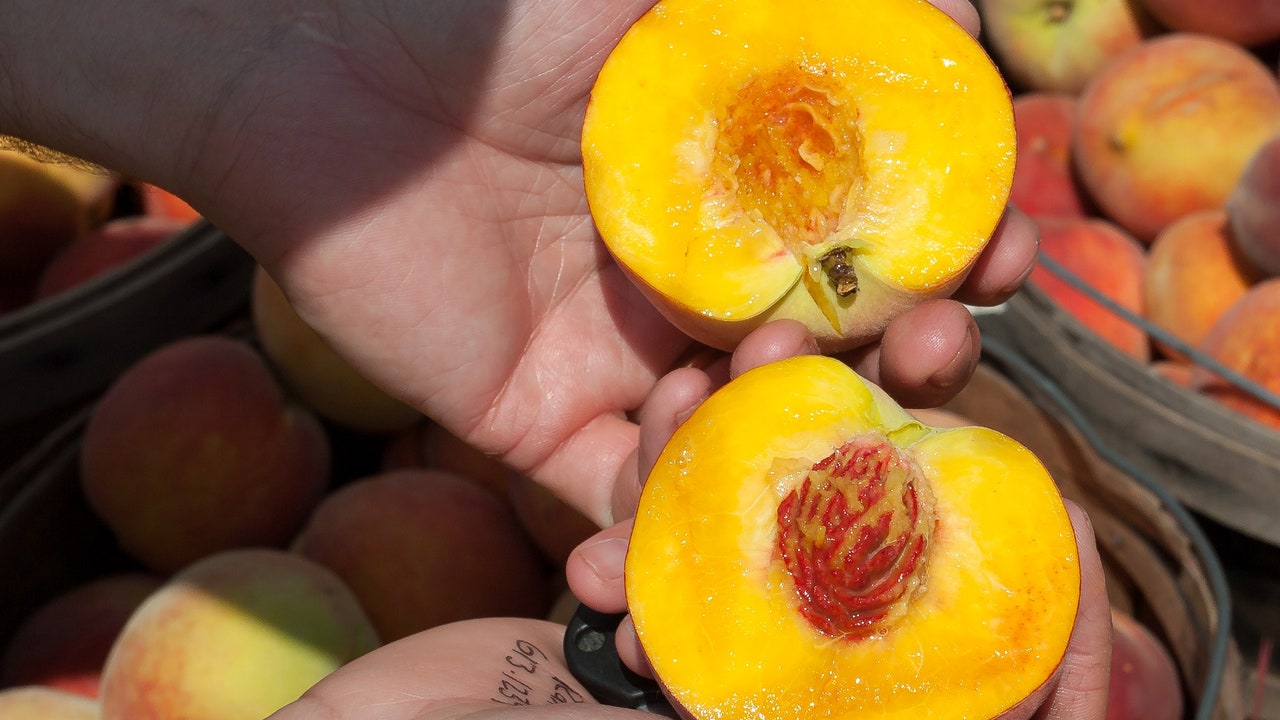 El truco definitivo para quitar el hueso del melocotón facilmente Europa FM El truco definitivo para quitar el hueso del melocotón facilmente Europa FM