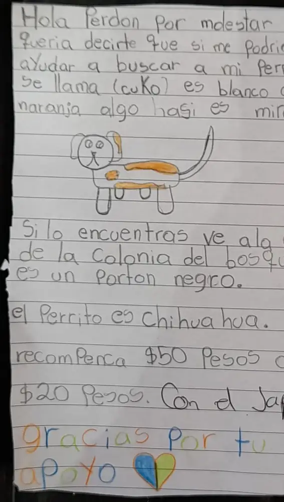 Dibujo de Romi con el que consiguió recuperar a su perro Cuko.