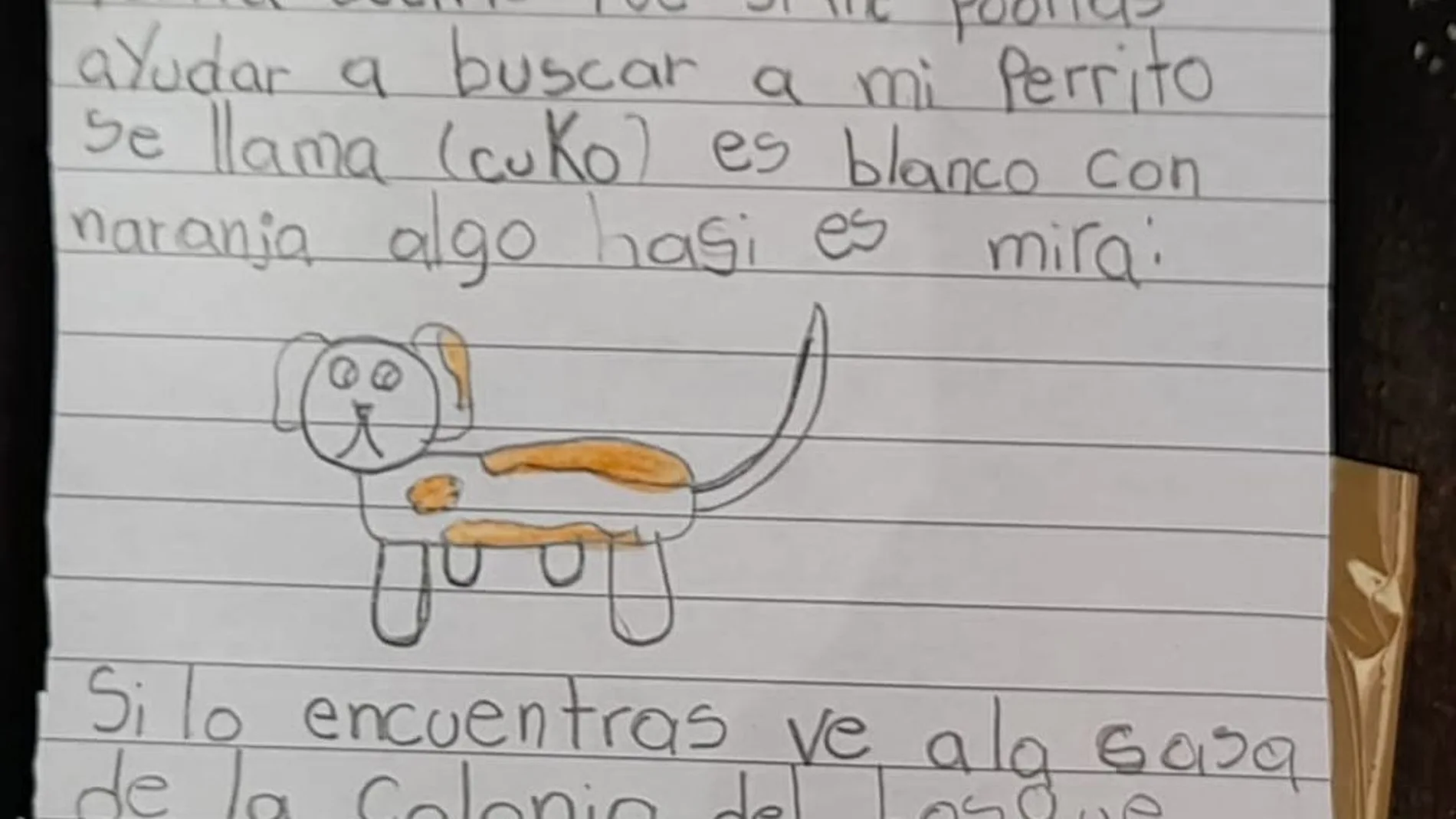 Dibujo de Romi con el que consiguió recuperar a su perro Cuko.
