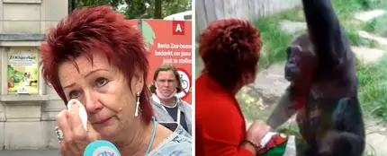 A una mujer le prohíben continuar viendo a un chimpancé con el que tiene una relación A una mujer le prohíben continuar viendo a un chimpancé con el que tiene una relación