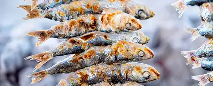 Espeto de sardinas Espeto de sardinas