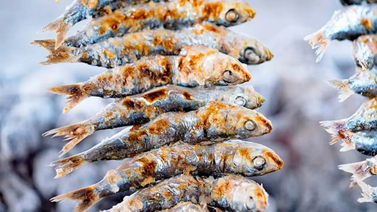 Espeto de sardinas Espeto de sardinas