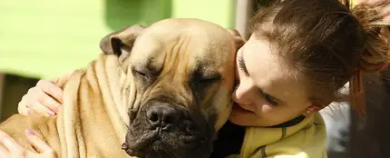 ¿Puedes saber si tu perro realmente te quiere? Esto dice la Ciencia sobre el amor perruno ¿Puedes saber si tu perro realmente te quiere? Esto dice la Ciencia sobre el amor perruno