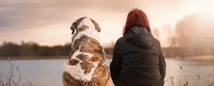 Estas son las 10 razas de perros menos cariñosas Estas son las 10 razas de perros menos cariñosas