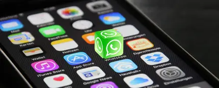 WhatsApp indicará en una pestaña quién ha reaccionado a un mensaje WhatsApp indicará en una pestaña quién ha reaccionado a un mensaje