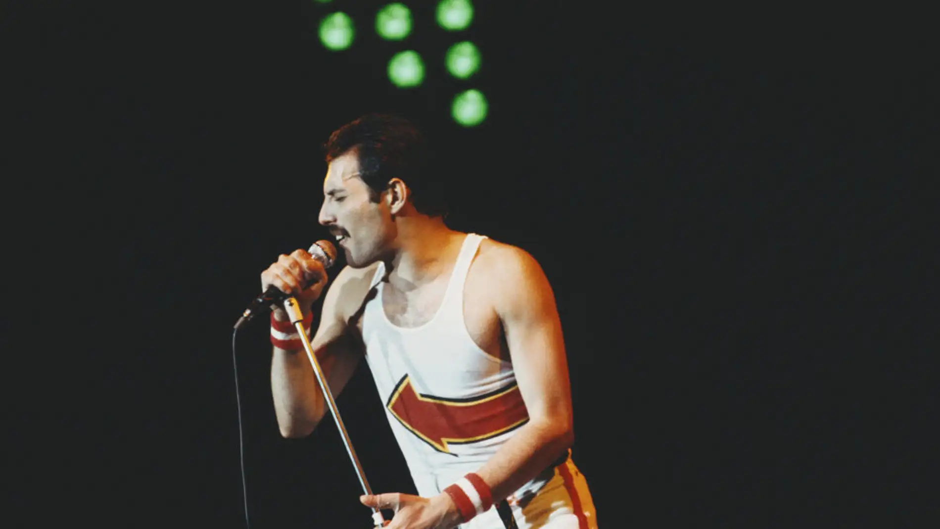 Freddie Mercury, el resto del Sida  title=
