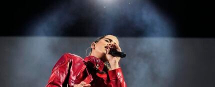 Rosal&iacute;a, en el Palau Sant Jordi de Barcelona