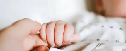 Bebé Bebé