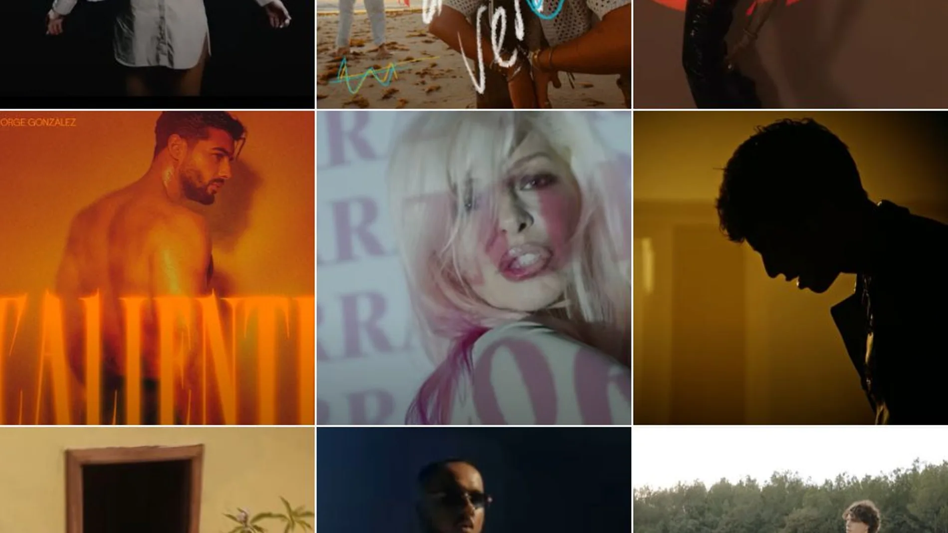 Nueve de los 16 candidatos del Benidorm Fest 2024. Nueve de los 16 candidatos del Benidorm Fest 2024.