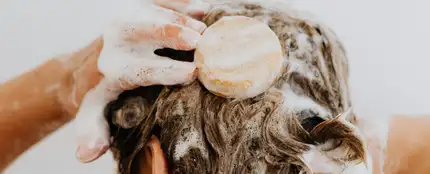 Ducha Ducha