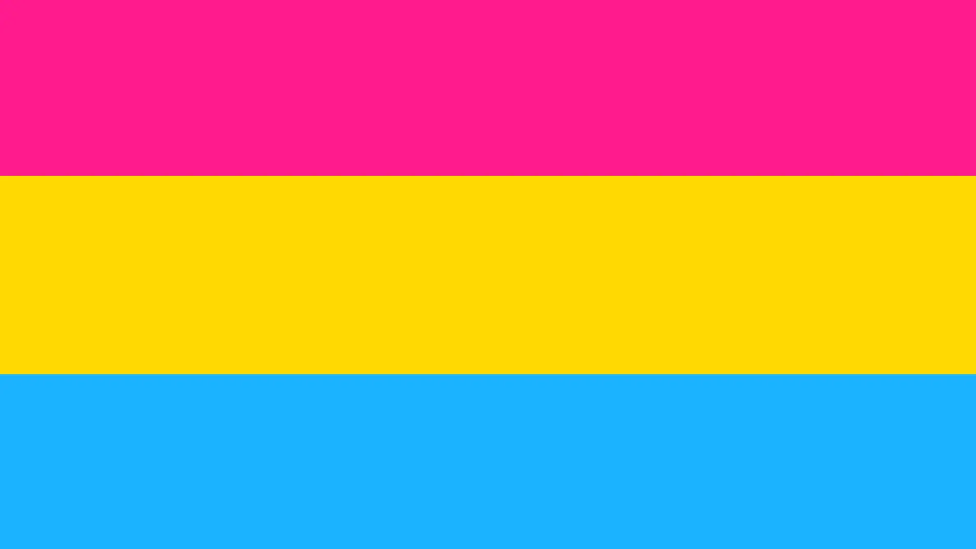 Bandera pansexual Orgullo LGTBIQ+ Bandera pansexual Orgullo LGTBIQ+