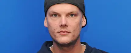 Avicii Avicii