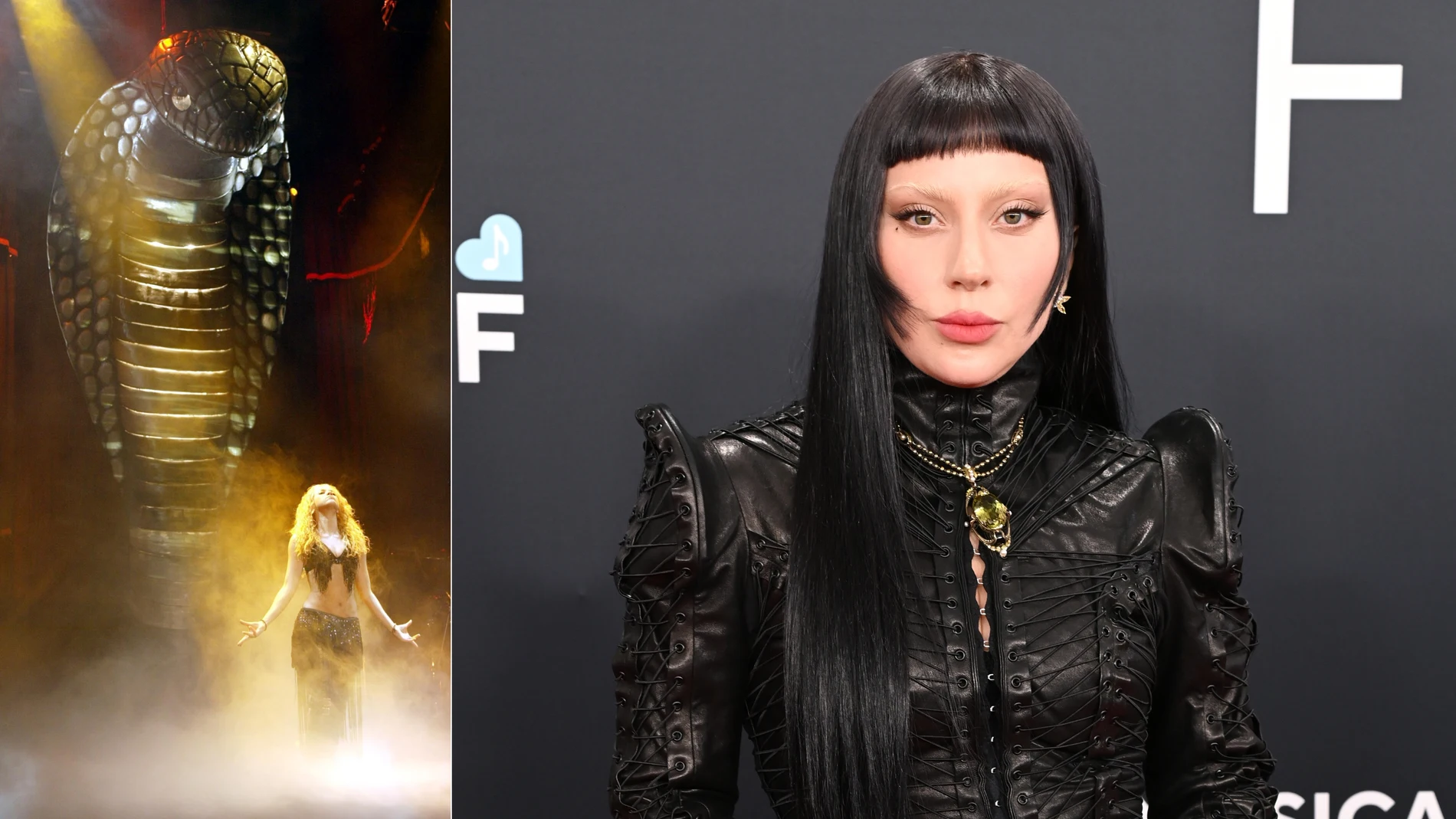 La cobra de Shakira y Lady Gaga La cobra de Shakira y Lady Gaga