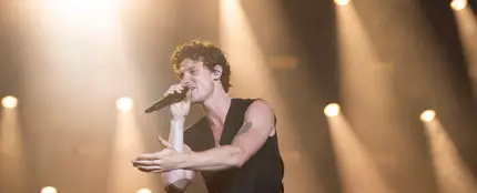 Shawn Mendes en directo en el Lollapalooza Shawn Mendes en directo en el Lollapalooza