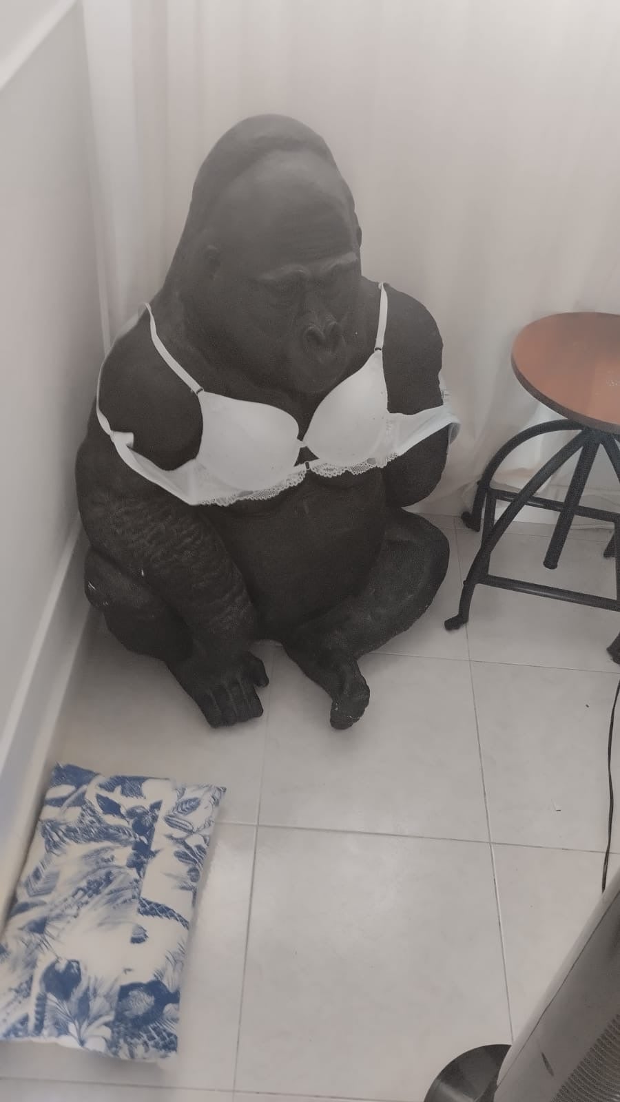 Alberto, limpiador de apartamentos turísticos, se encontró con una estatua muy curiosa episode artwork