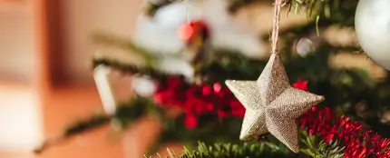 Árbol de Navidad Árbol de Navidad