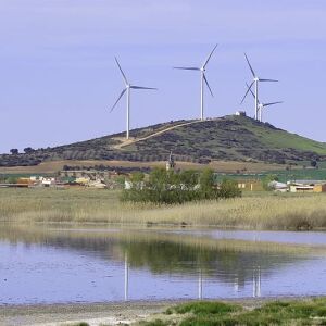 Lillo (Toledo) Lillo (Toledo)