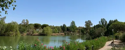 Berlanga (Badajoz) Berlanga (Badajoz)