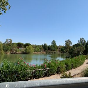 Berlanga se convierte en el más molón de la semana Berlanga se convierte en el más molón de la semana