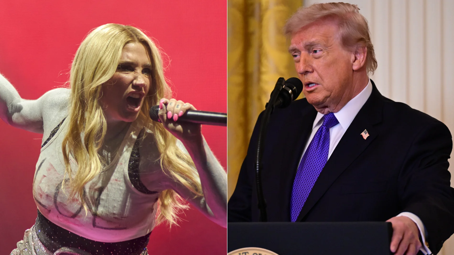 Kesha se enfrenta a Trump Kesha se enfrenta a Trump
