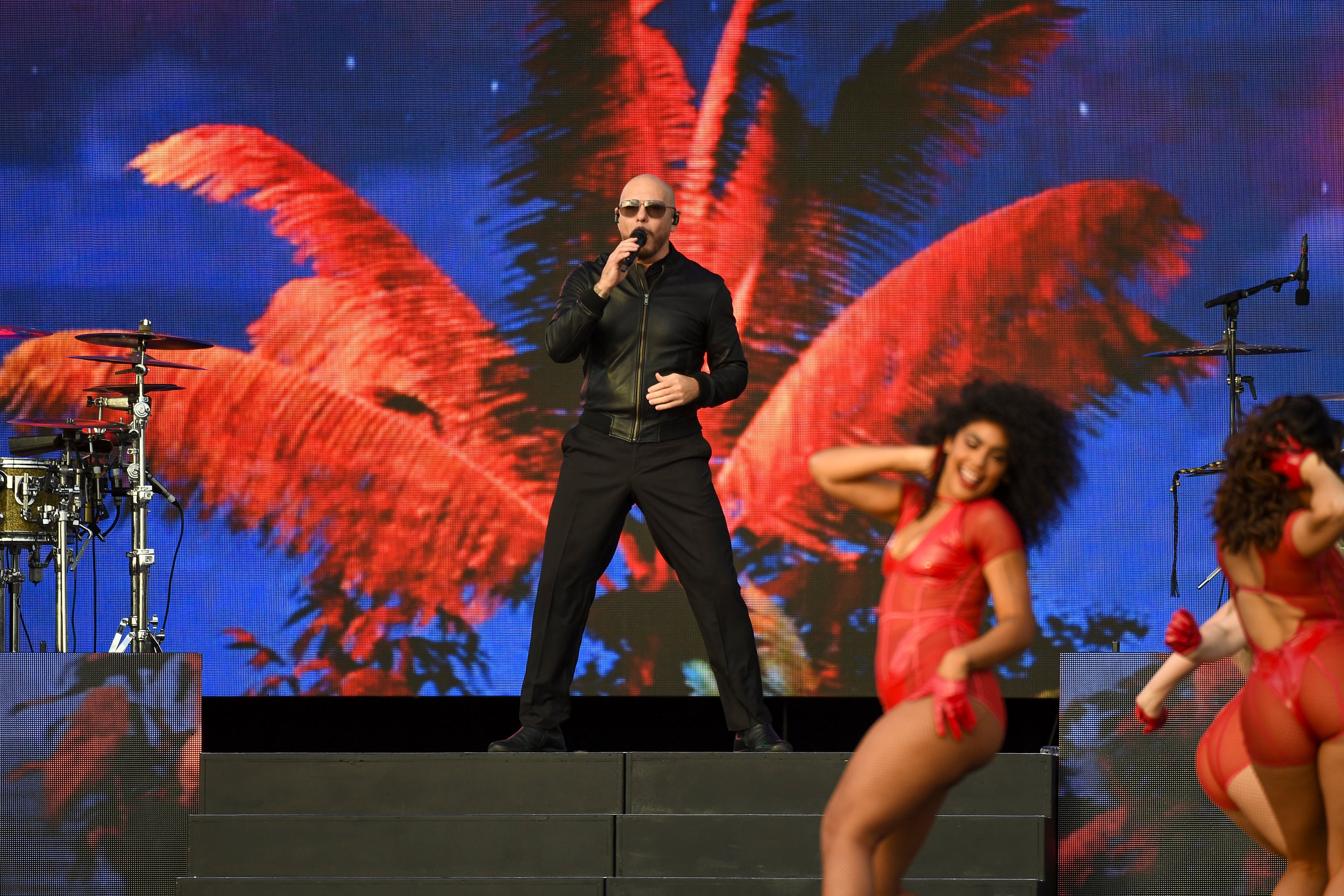 Pitbull en concierto Pitbull en concierto