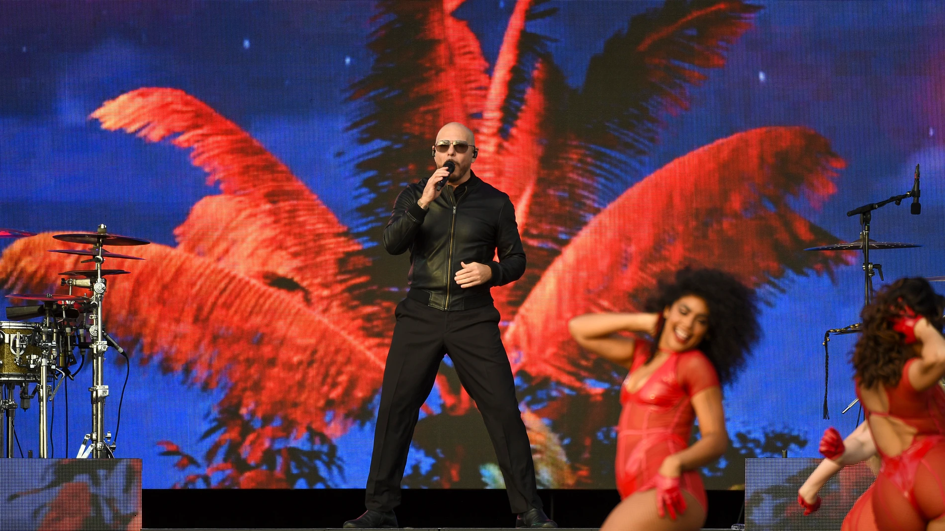 Pitbull en concierto Pitbull en concierto