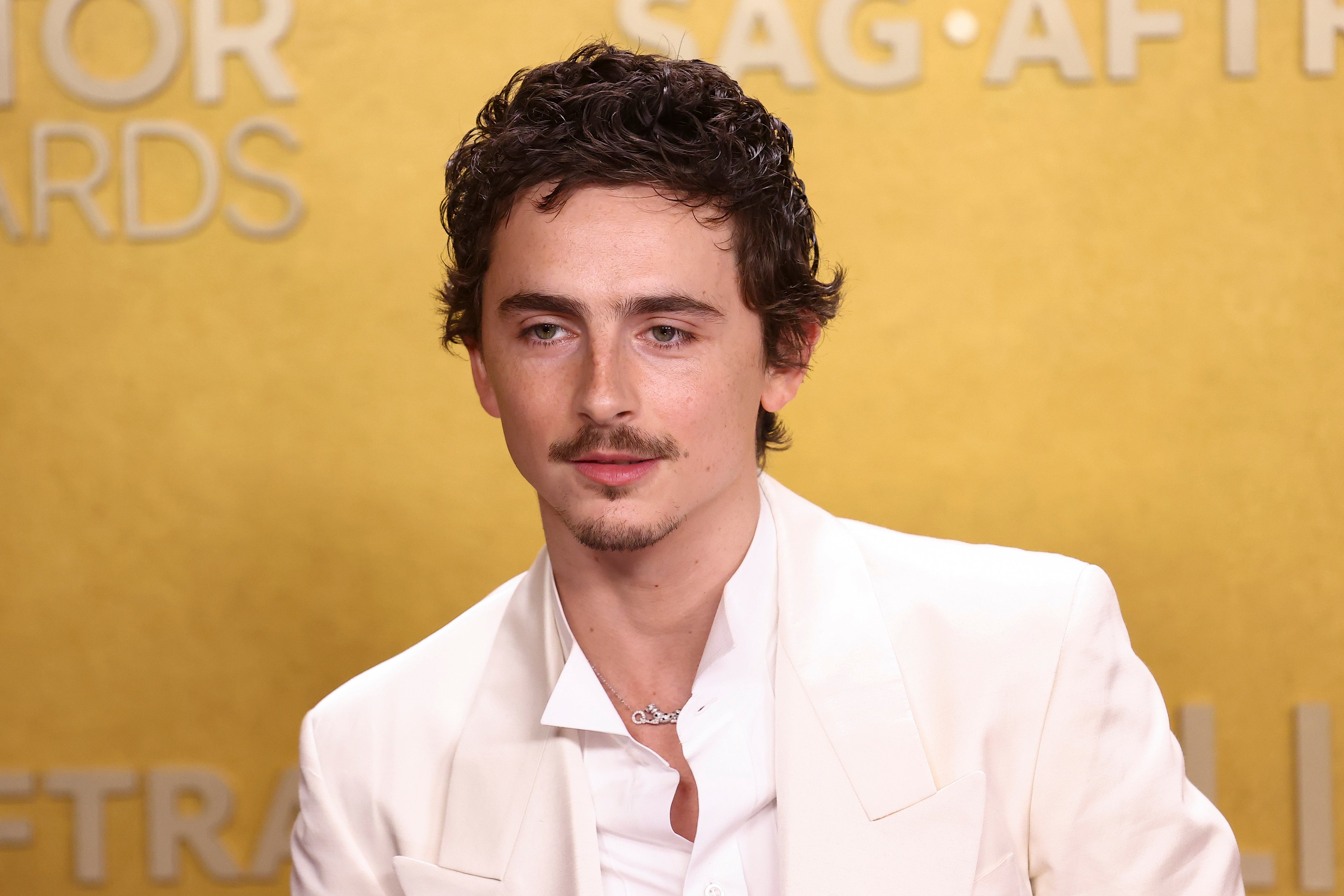 Timothée Chalamet en The Actor Awards 2026 Timothée Chalamet en The Actor Awards 2026