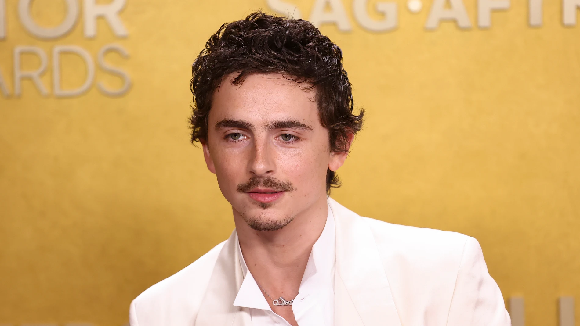 Timothée Chalamet en The Actor Awards 2026 Timothée Chalamet en The Actor Awards 2026