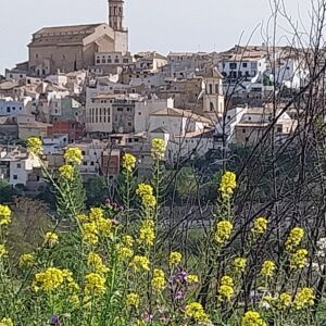 Cehegín (Región de Murcia) Cehegín (Región de Murcia)