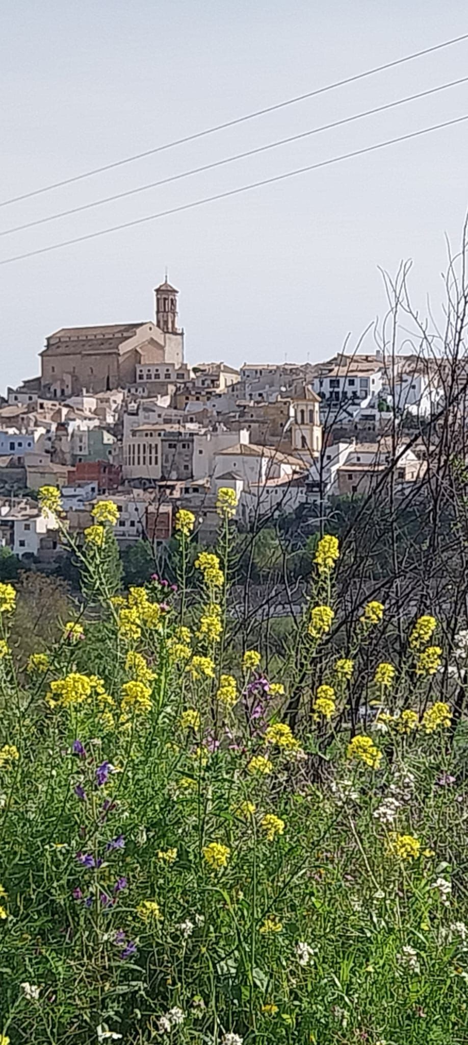 Cehegín (Región de Murcia)
