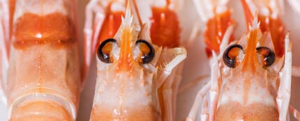 Gambas