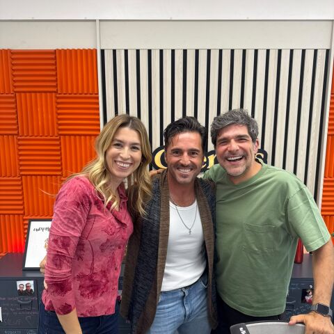 David Bustamante en Cuerpos especiales