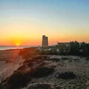 El Palmar de Vejer (Cádiz) El Palmar de Vejer (Cádiz)