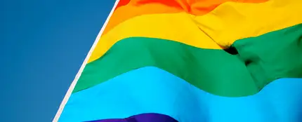 Bandera del orgullo gay Bandera del orgullo gay