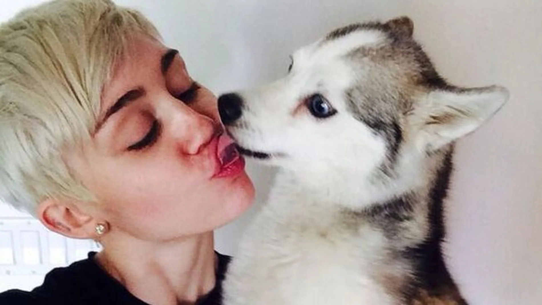 Miley Cyrus llora la muerte de su perro Floyd Miley Cyrus llora la muerte de su perro Floyd