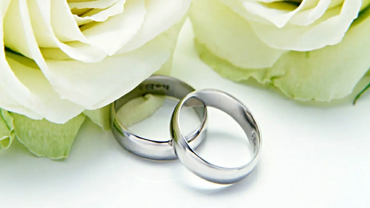 Anillos de boda Anillos de boda