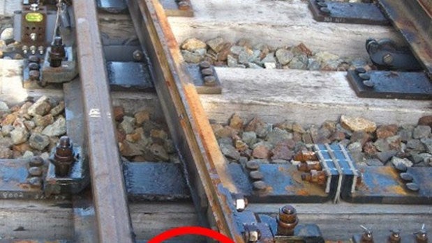 Tortuga atrapada en una vía de un tren