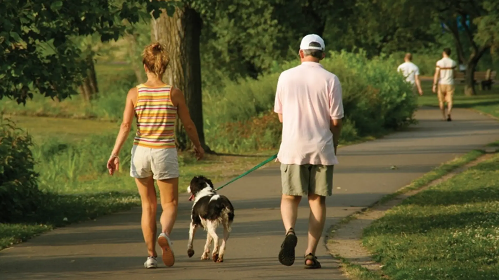 Caminar más de una hora al día reduce a la mitad el riego de padecer dolencias arteriales 