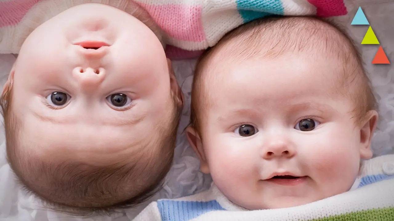 Imagen de dos gemelos Imagen de dos gemelos