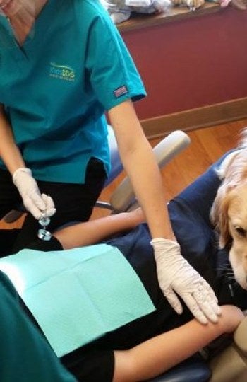 Jojo, el perro que ayuda a calmar a los niños en la consulta del dentista 