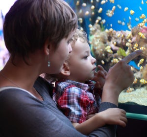 Una madre y su hijo en un acuario Una madre y su hijo en un acuario