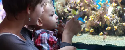 Una madre y su hijo en un acuario Una madre y su hijo en un acuario