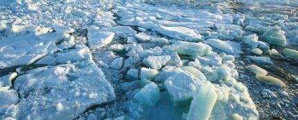 Cambio climático