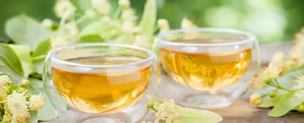 Las mejores infusiones para perder peso Las mejores infusiones para perder peso