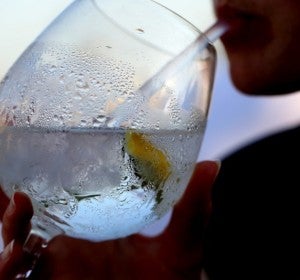 gin tonic gin tonic