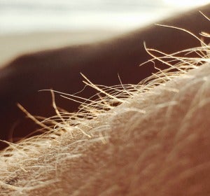 Los pelos de punta, oiga Los pelos de punta, oiga