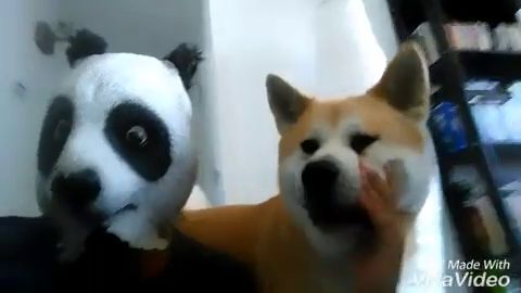 Frame 23.280189 de: Luis L&oacute;pez (Barcelona)