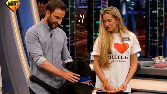 Dani Rovira adopta a uno de los perretes de 'El Hormiguero 3.0'