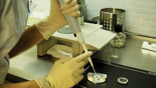 Inseminación artificial