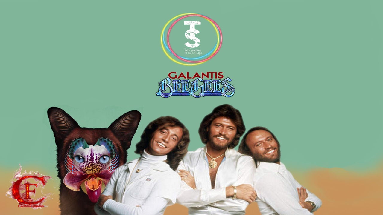 Mashup: Bee Gees VS Galantis